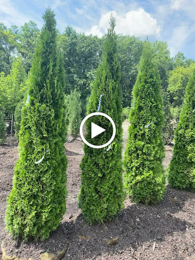 Landscaping Supply Store «Kirkwood Gardens», reviews and photos, 2701 Barrett Station Rd, Ballwin, MO 63021, USA