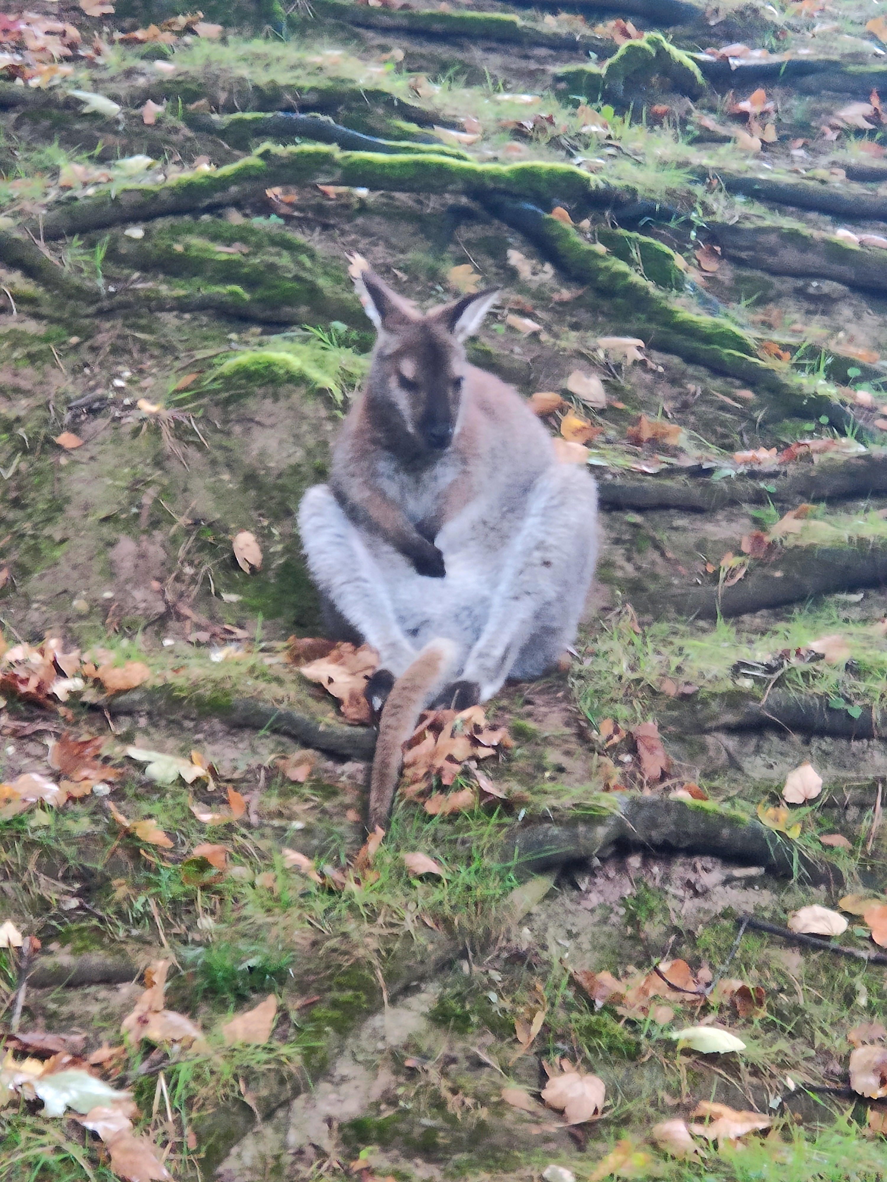 Photo n° 7 de l'avis de amourette.h fait le 19/09/2023 à 06:08