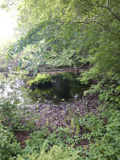 Park «Carney Park», reviews and photos, 386 W Main St, Northborough, MA 01532, USA