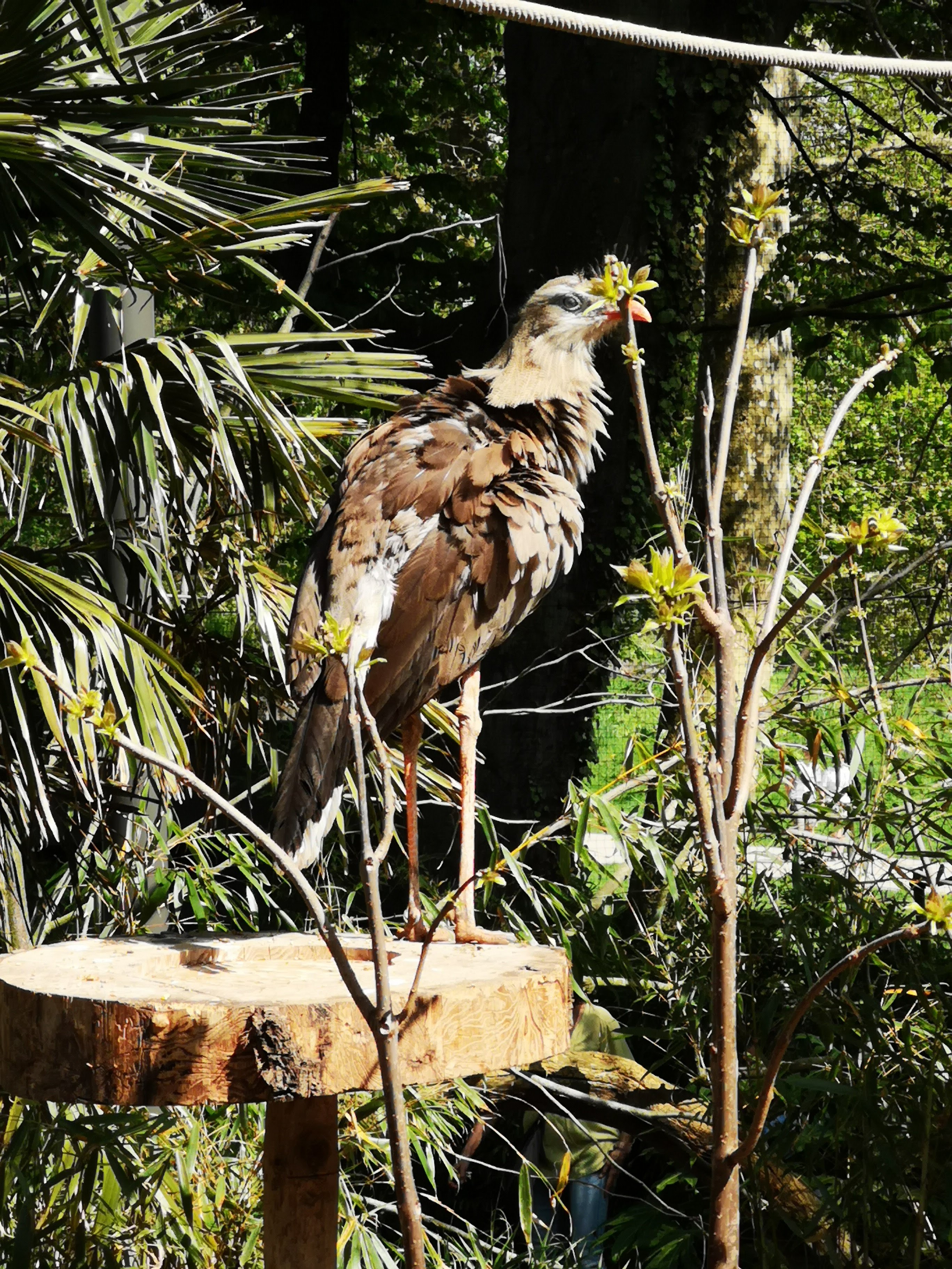 Photo n° 37 de l'avis de Bryan.r fait le 24/04/2018 à 19:19