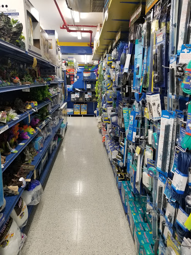 Pet Store «Petland Discounts - Willoughby», reviews and photos, 72 Willoughby St, Brooklyn, NY 11201, USA