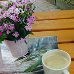 Photo n°1 de l'avis de Achim.e fait le 20/07/2023 à 05:24 sur le  Teestube Undeloh à Undeloh