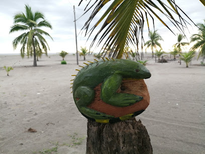 Arte coco (aceites de coco y artesanías de coco)