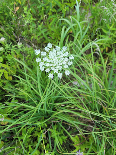 Nature Preserve «Indian Creek Nature Center», reviews and photos, 5300 Otis Rd, Cedar Rapids, IA 52403, USA