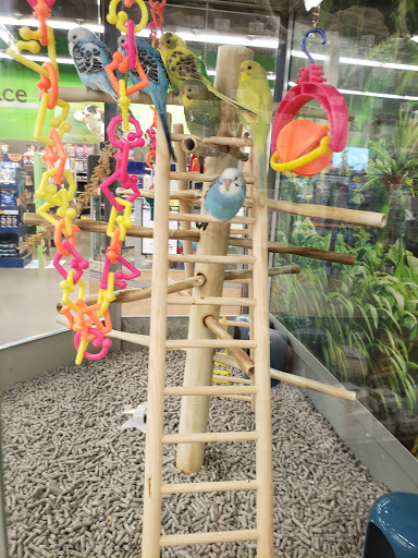 Pet Supply Store «Petco Animal Supplies», reviews and photos, 3000 Gateway St #220, Springfield, OR 97477, USA
