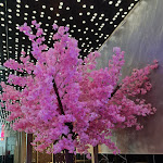 Photo n°9 de l'avis de Giuseppe.l fait le 17/10/2022 à 09:32 sur le  Ristorante Giapponese Kashima à Montecorvino Pugliano