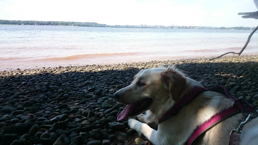 Park «Fort Foote Park», reviews and photos, Fort Foote Rd, Fort Washington, MD 20744, USA