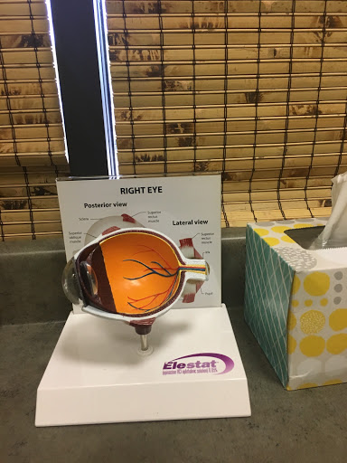 Optometrist «Eyeland», reviews and photos, 1422 N Loop 336 W, Conroe, TX 77304, USA