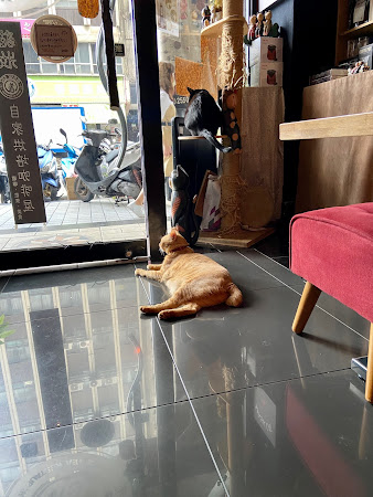 貓妝自家烘焙咖啡館