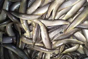 Chuknagar fish store image