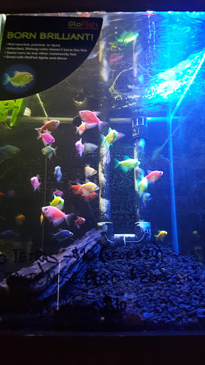 Tropical Fish Store «Fish Finatics», reviews and photos, 7037 Manlius Center Rd, East Syracuse, NY 13057, USA