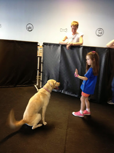 Dog Trainer «Calling All Dogs», reviews and photos, 6088 S Highland Dr, Holladay, UT 84121, USA