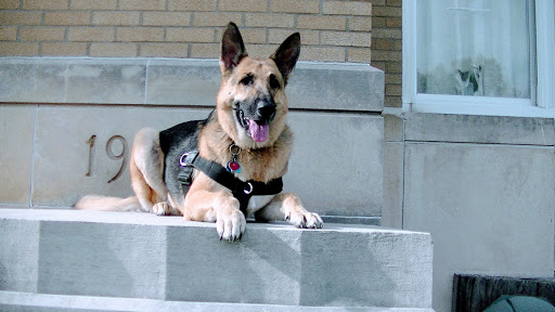 466 Angliana Ave, Lexington, KY 40508, USA