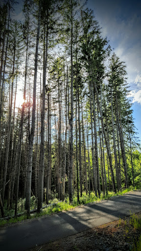 Winery «Six Mile Creek Vineyard», reviews and photos, 1551 Slaterville Rd, Ithaca, NY 14850, USA