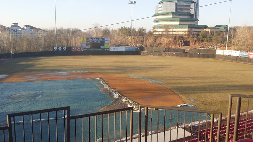 Museum «Yogi Berra Museum», reviews and photos, 8 Quarry Rd, Little Falls, NJ 07424, USA