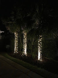 The Best Guide To Holiday Lights Installer