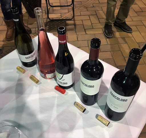 Bodega BARCOLOBO en San Román de Hornija
