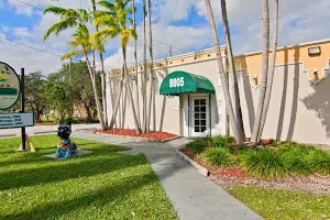 Main Street Children's Dentistry of Palmetto Bay image