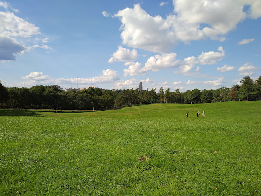 Schenley Park Overlook