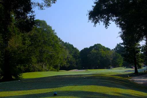Golf Course «Shadowmoss Plantation Golf Club», reviews and photos, 20 Dunvegan Dr, Charleston, SC 29414, USA