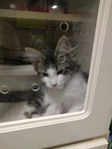 Pet Supply Store «Petco Animal Supplies», reviews and photos, 8020 Glen Ln, Eden Prairie, MN 55344, USA