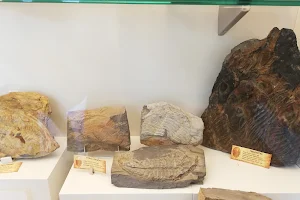 Centro de Interpretación de los Fósiles de Navatrasierra image