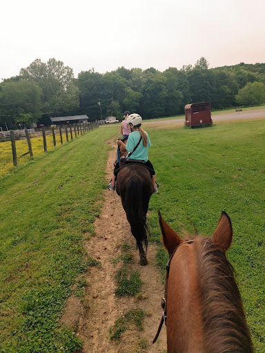 National Forest «Land Between the Lakes National Recreation Area», reviews and photos, 238 Visitor Center Dr, Golden Pond, KY 42211, USA