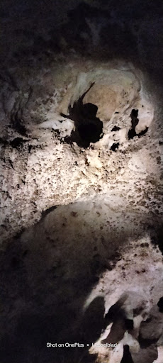 Tourist Information Center «Carlsbad Caverns National Park Headquarters», reviews and photos