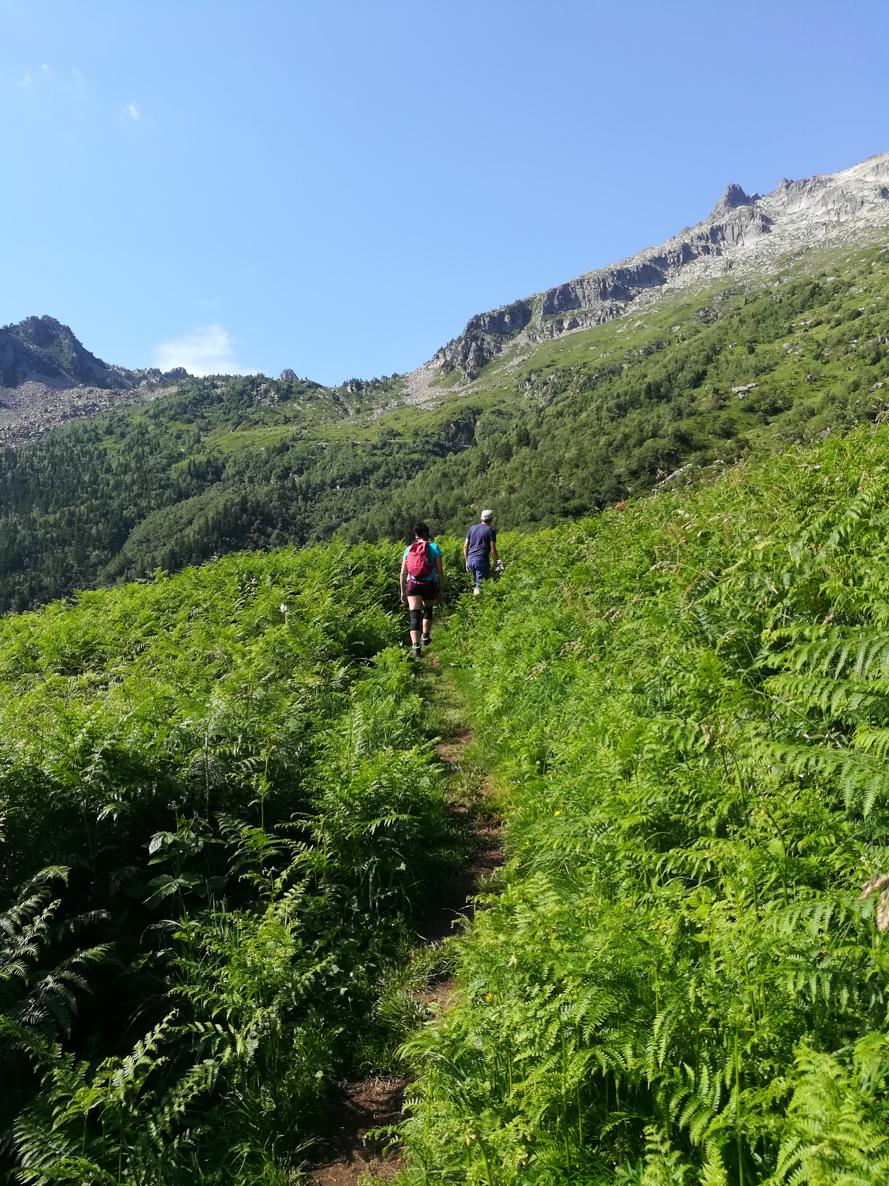 Photo n° 4 de l'avis de John.o fait le 23/08/2018 à 21:10