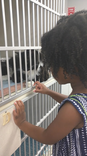 Pet Supply Store «Petco Animal Supplies», reviews and photos, 8111 W Broward Blvd, Plantation, FL 33324, USA