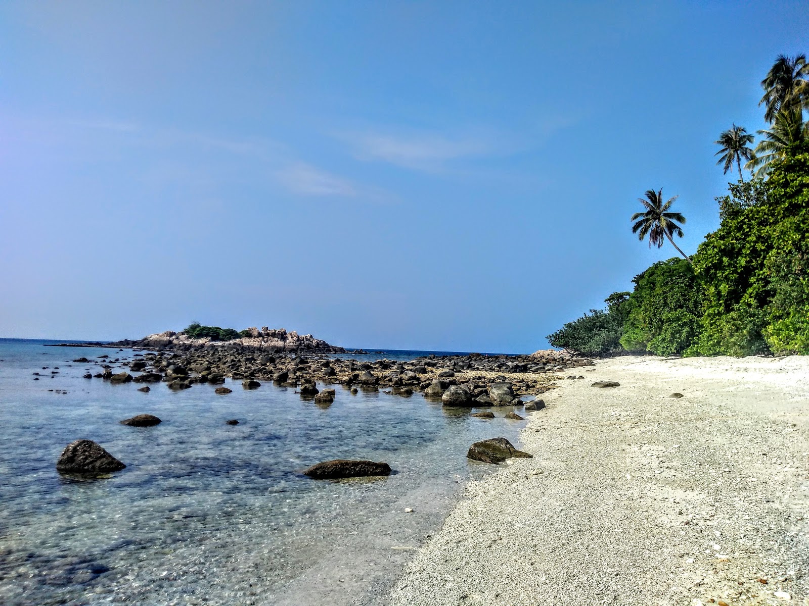 Foto af Skildpadde Strand med rummelig kyst