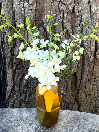 Florist «East Hampton Florist», reviews and photos, 69 N Main St, East Hampton, NY 11937, USA