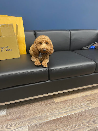 Insurance Agency «Allstate Insurance Agent: Robert Zabbia», reviews and photos