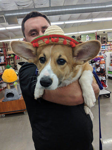 Pet Supply Store «Pet Food Express», reviews and photos, 3910 Middlefield Rd, Palo Alto, CA 94303, USA