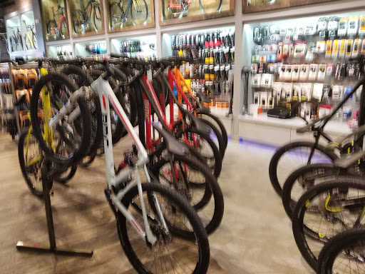 Bicycle Store «Fusion Pro Bike Shop», reviews and photos, 14811 Biscayne Blvd, Miami, FL 33181, USA