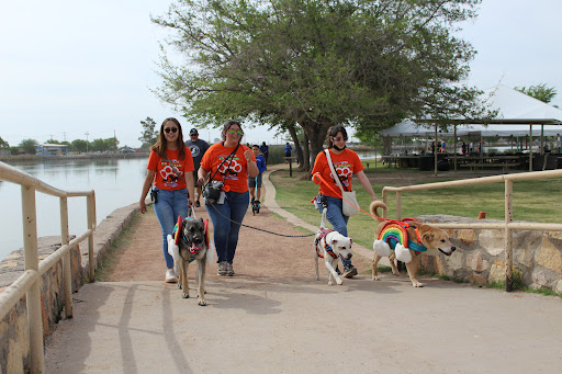 Animal Shelter «Humane Society of El Paso», reviews and photos