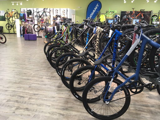 Bicycle Store «B3 Bicycles Howell (Bike Blade & Ball)», reviews and photos, 6798 U.S. 9, Howell, NJ 07731, USA