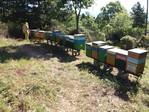 apicoltura della valle
