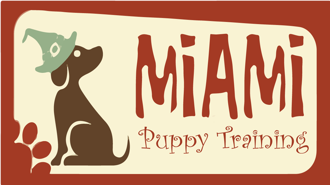 Miami Puppy Training