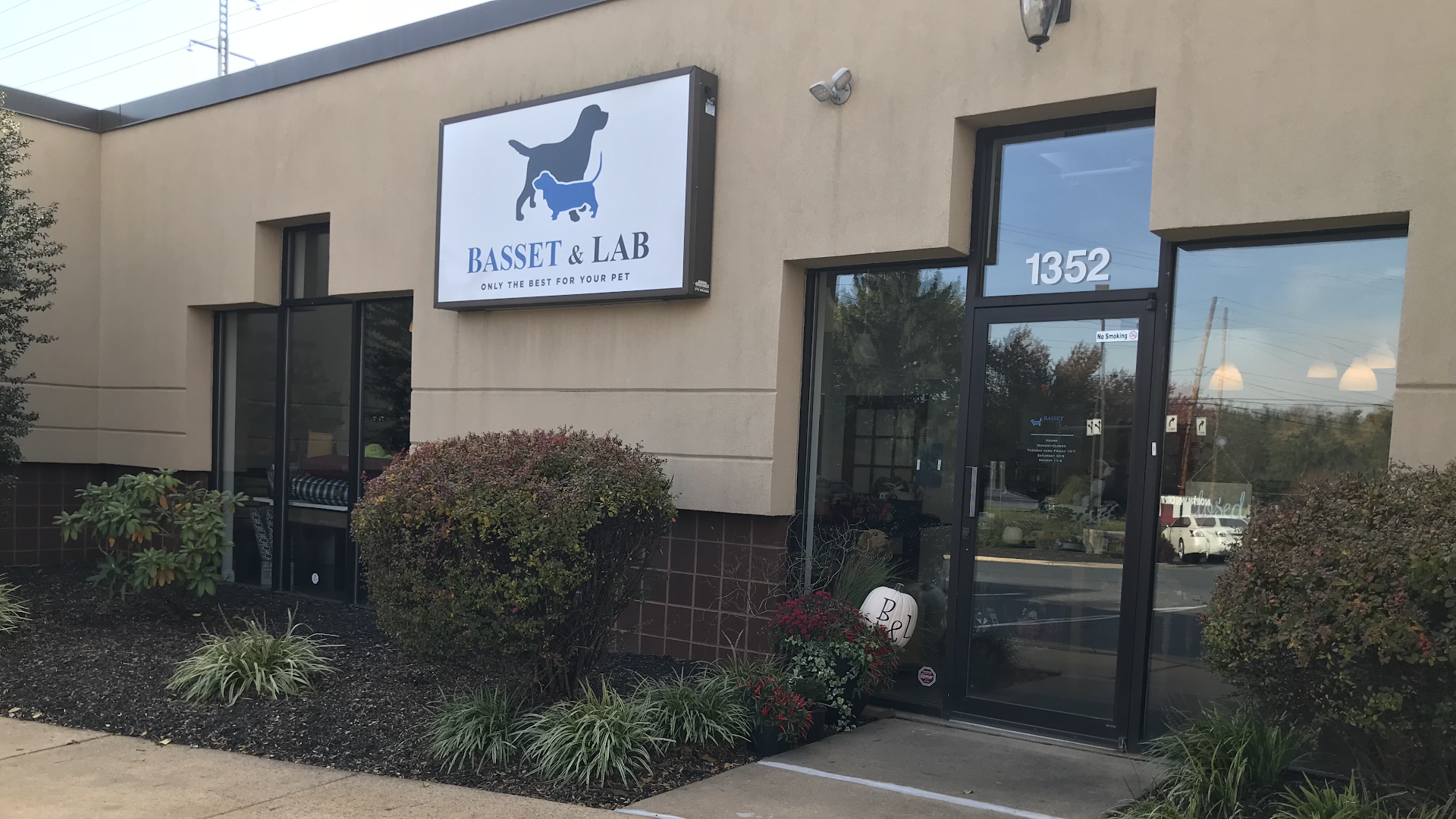 Basset and Lab