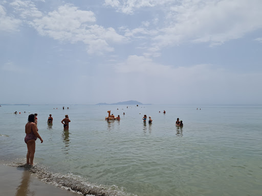Küçük Resim 1