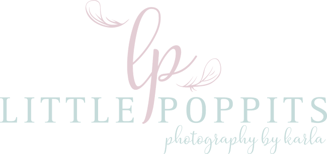 Reviews of Little Poppits Photography in Christchurch - Photography studio