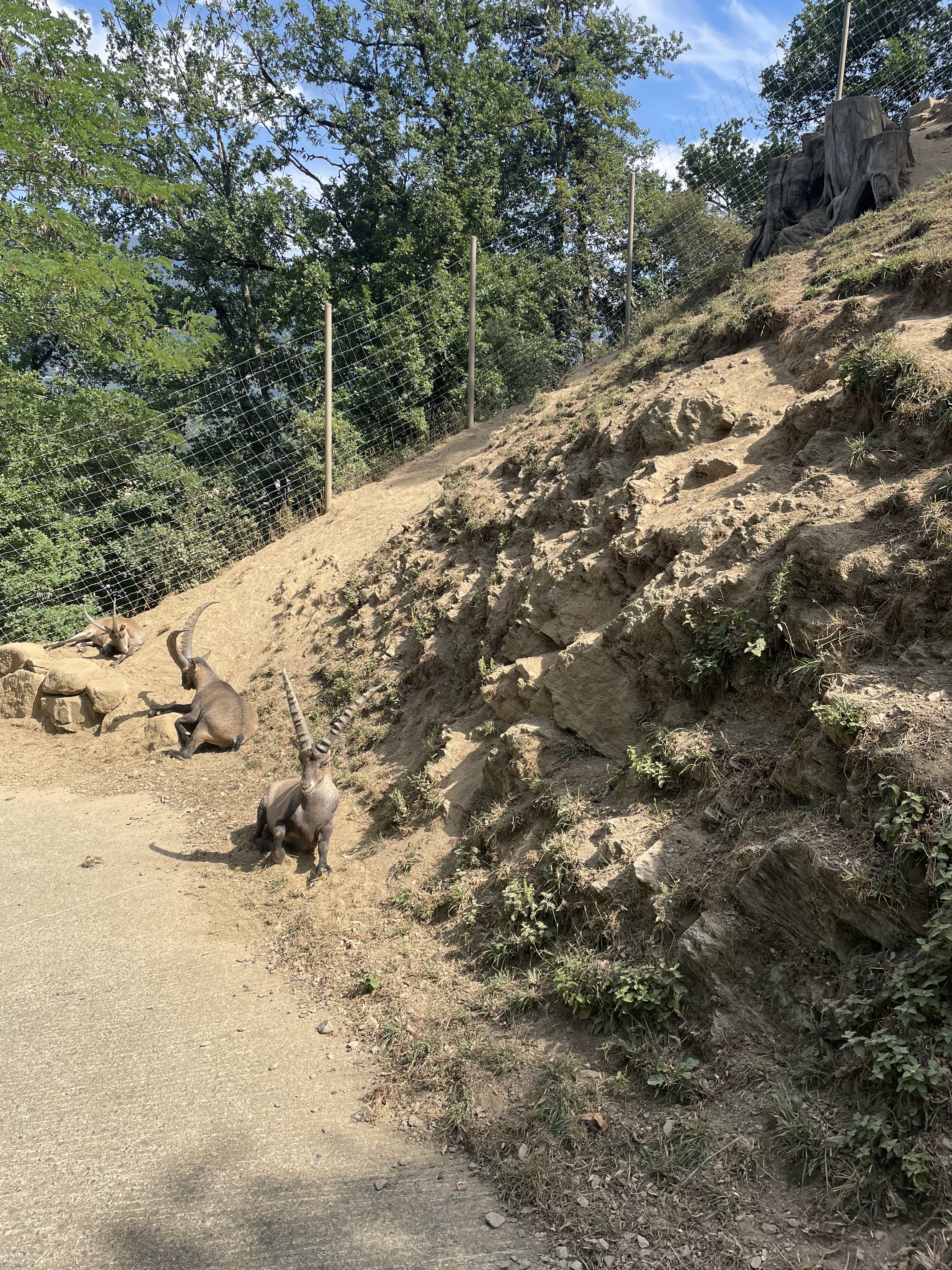 Photo n° 4 de l'avis de Gregory.G fait le 01/08/2022 à 10:31