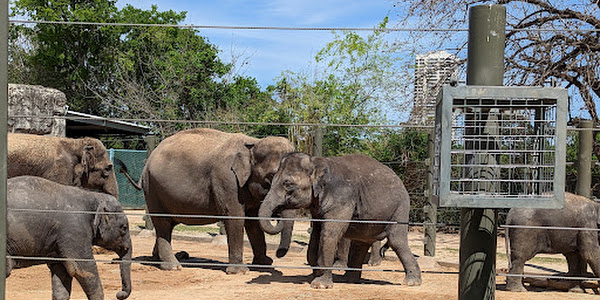 Houston Zoo