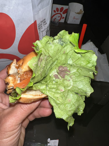 Fast Food Restaurant «Chick-fil-A», reviews and photos, 10180 W McDowell Rd, Avondale, AZ 85392, USA