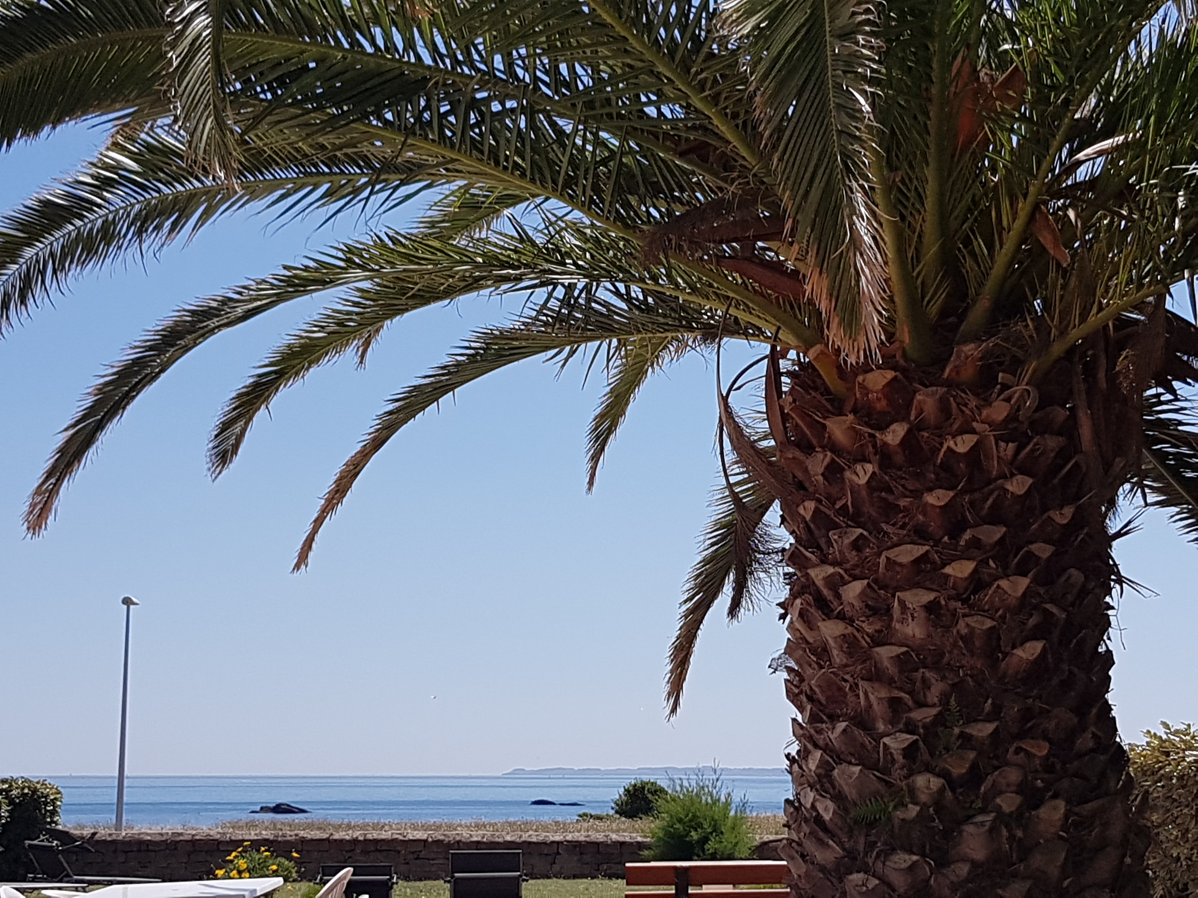 Photo n° 1 de l'avis de Sandrine.c fait le 19/07/2021 à 18:47