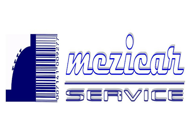 Mezicar Service - Magazin de electrocasnice