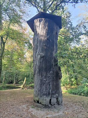 Le Gros-Chêne à Haguenau