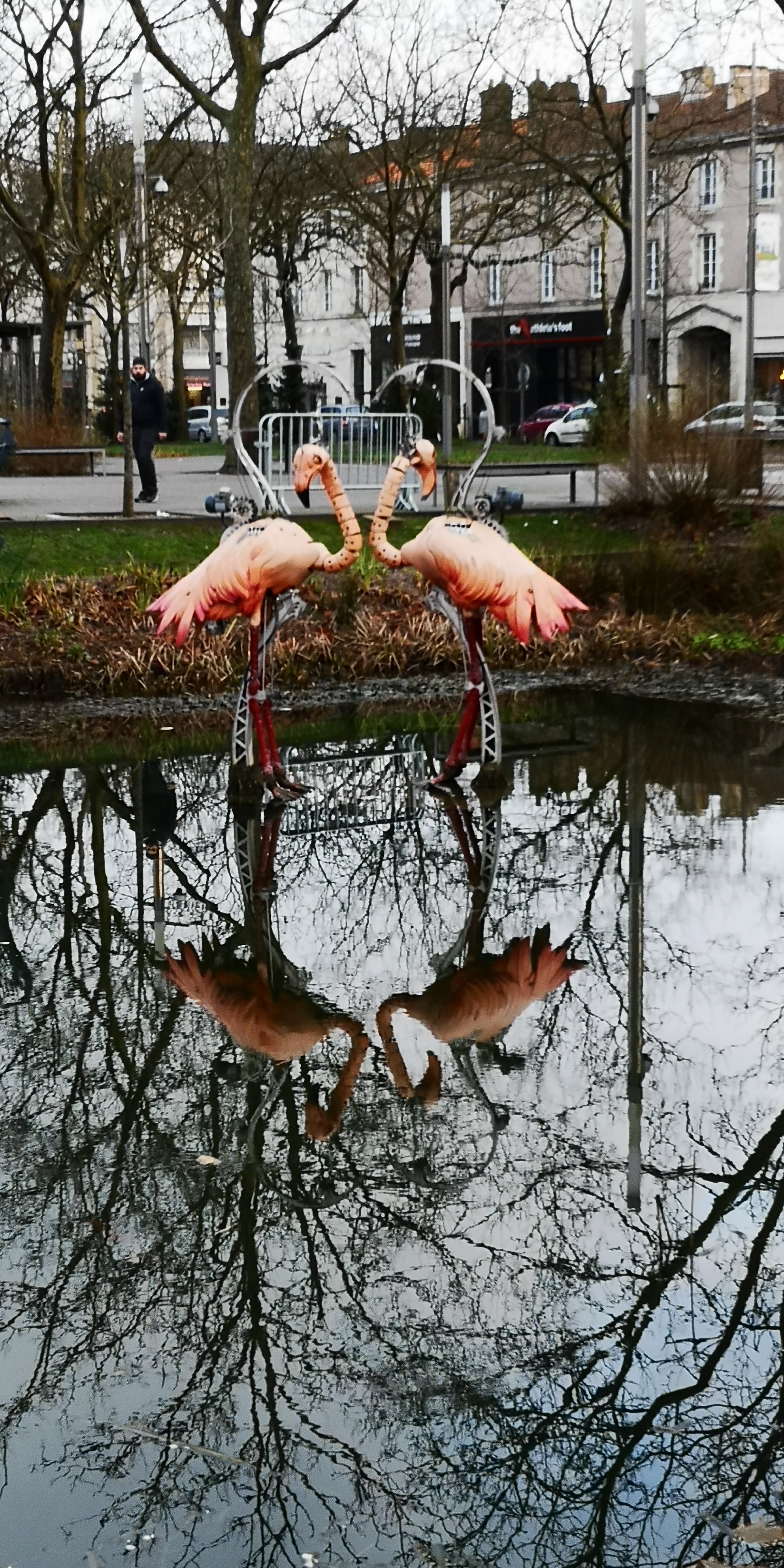 Photo n° 1 de l'avis de DUPOUY.a fait le 12/01/2020 à 17:27