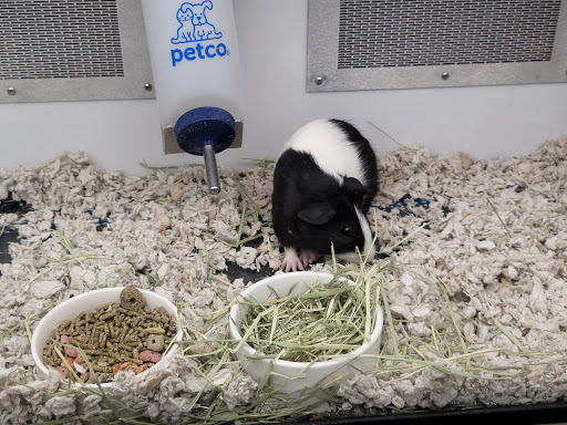 Pet Supply Store «Petco Animal Supplies», reviews and photos, 13311 20th Ave, College Point, NY 11356, USA